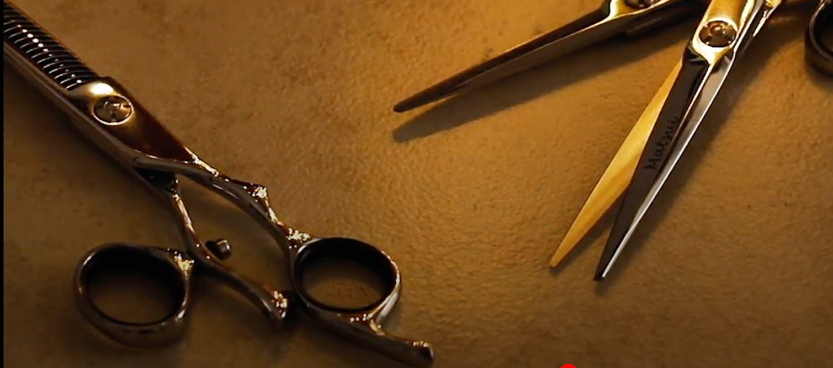 What are discount shears