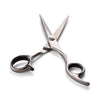 Matsui Eclipse Silver Cutting Scissors (7051347755091)