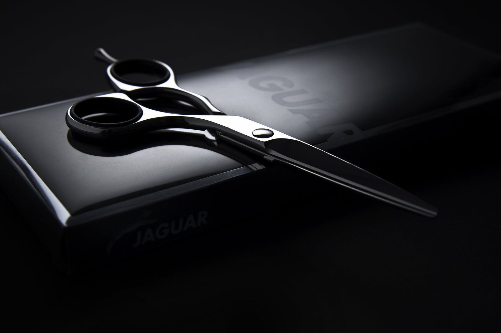 Jaguar Grace (4396648923219)